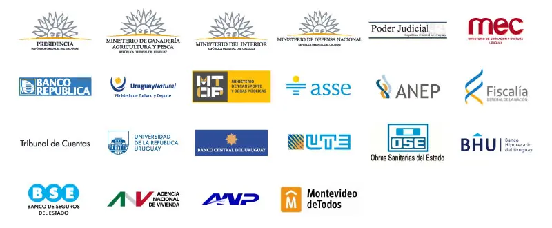 DT Clientes Instituciones