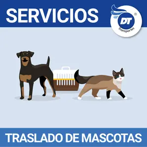 Traslado de Mascotas